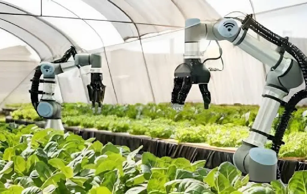 Agricultural automation and precision farming by Al Awaf Technologies