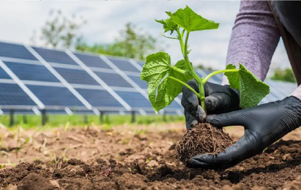 Solar energy power solutions and solar irrigation by Al Awaf Technologies